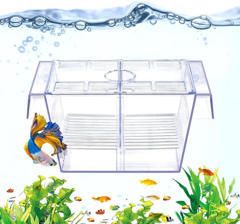 DATOO Fish Breeding Box Aquarium Holding Tank Transparent Fish Isolation Box Acclimation Hatchery Incubator Breeder for Betta Shrimp Clownfish Guppy - Image 1